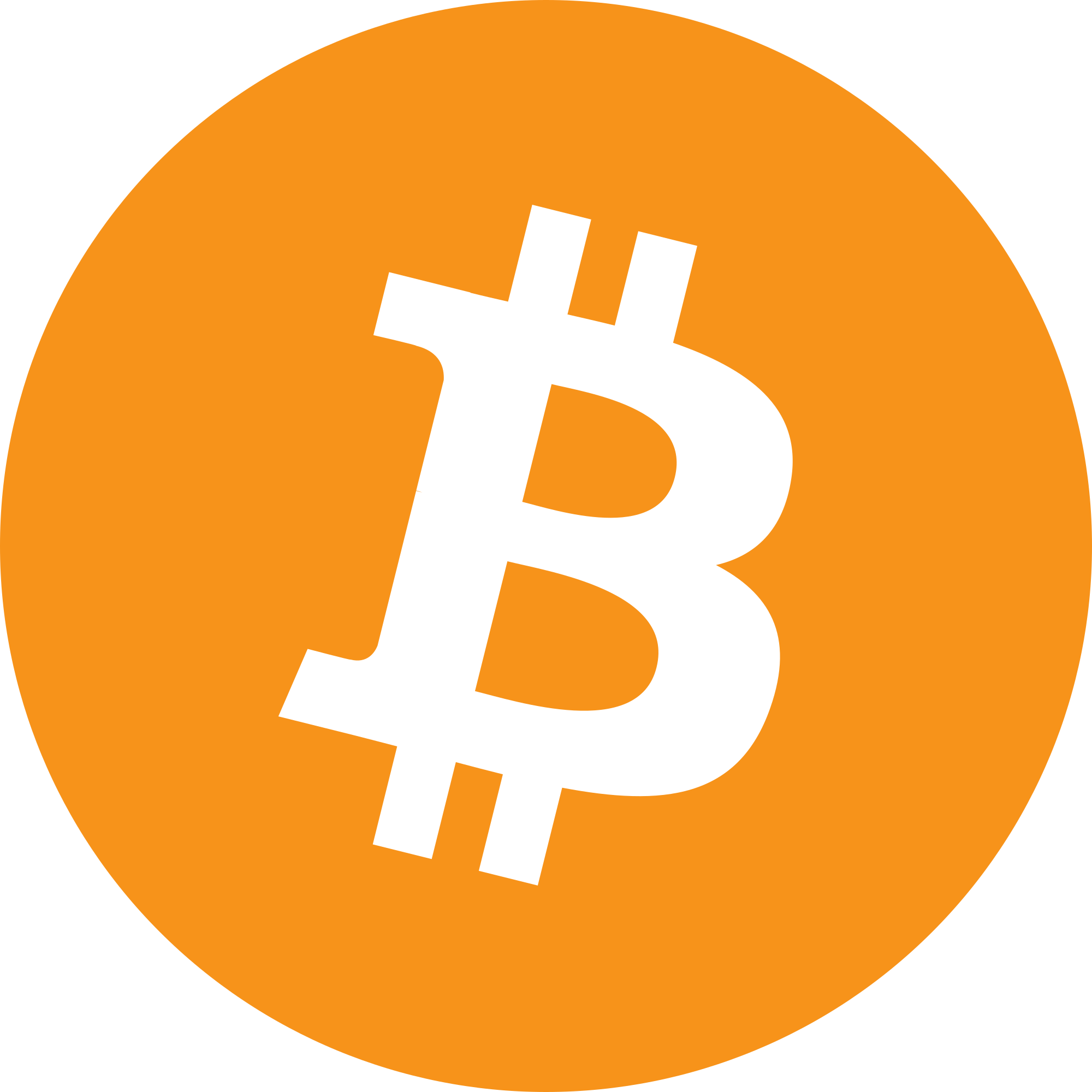 Bitcoin Logo Transparent PNG