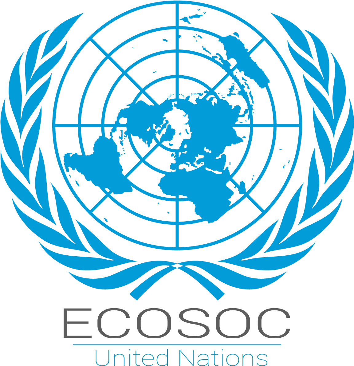 Economic and Social Council ECOSOC