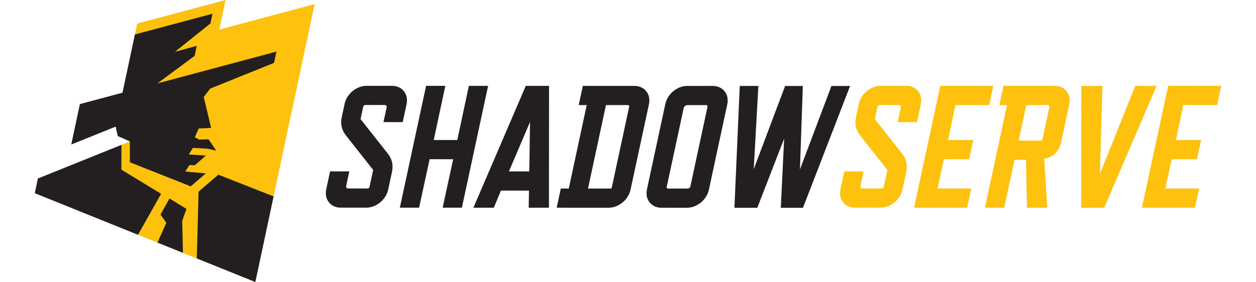 Shadowserver Transparent Logo PNG