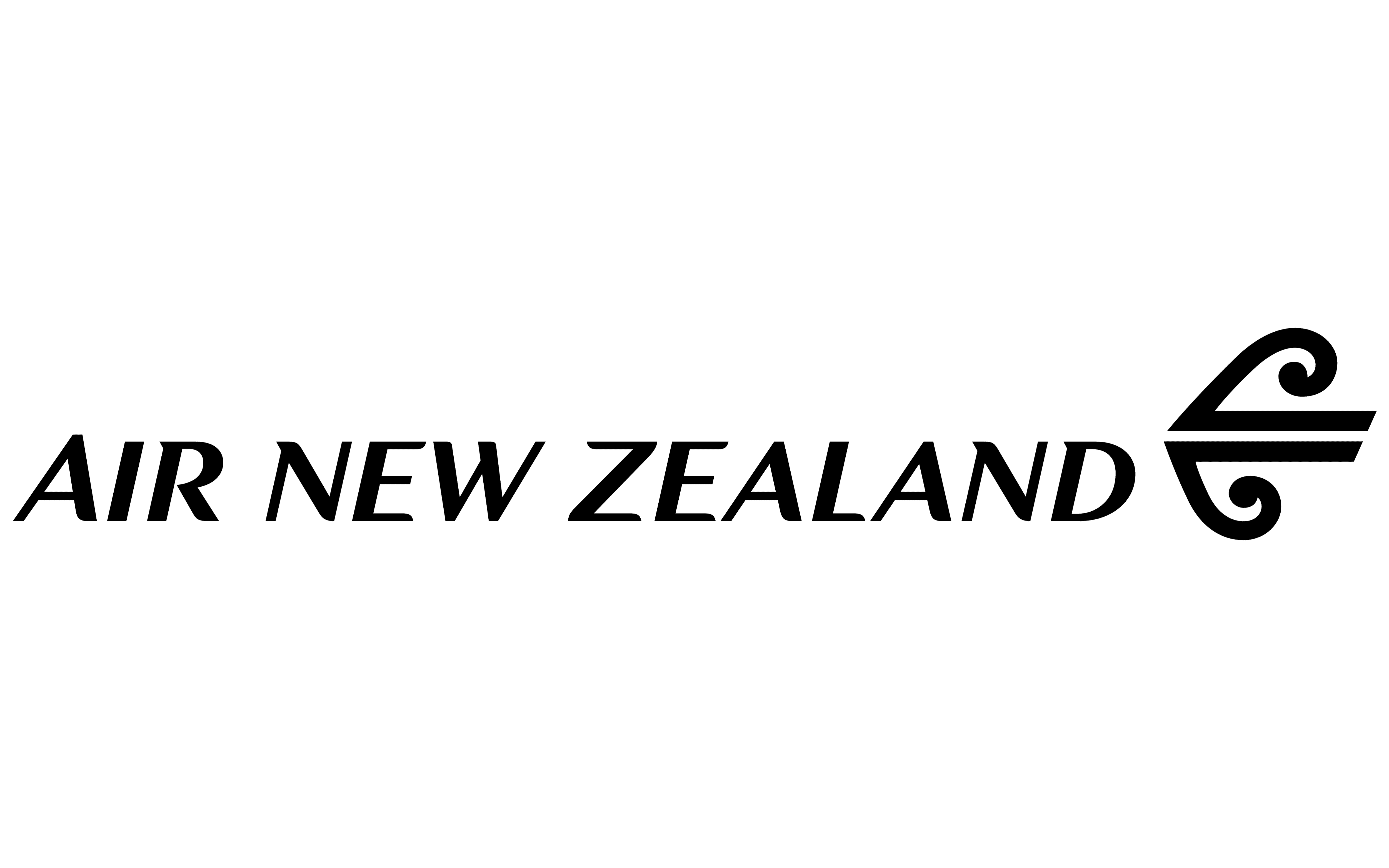Air New Zealand Transparent Logo PNG