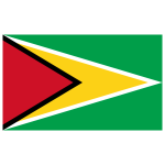 Guyana Flag Transparent Logo PNG