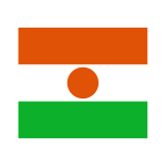 Niger Flag Transparent Logo PNG