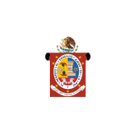 Oaxaca Flag Transparent Logo PNG