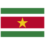 Suriname Flag Transparent Logo PNG