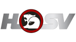 HSV Transparent Logo PNG