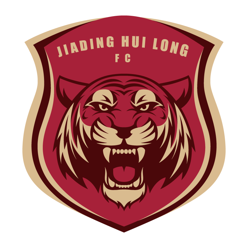 Shanghai Jiading Huilong Logo Transparent PNG