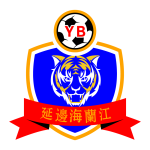 Yanbian Longding Logo Transparent PNG