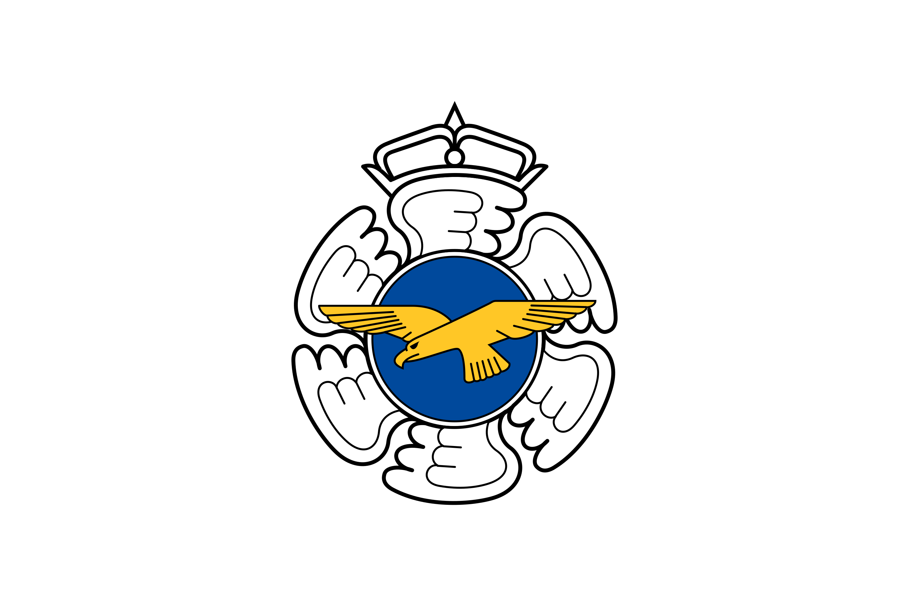 Finnish Air Force