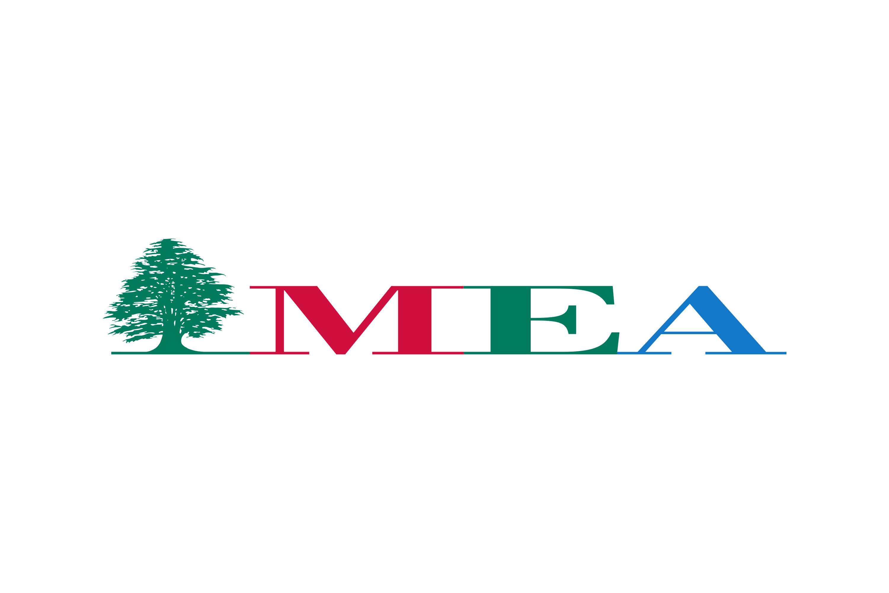 Middle East Airlines