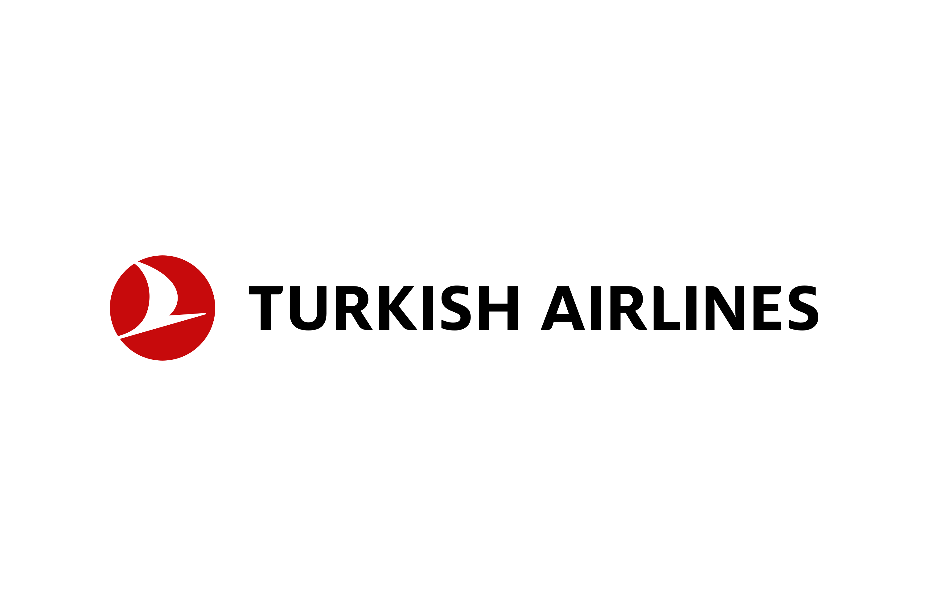 Turkish Airlines Logo Transparent PNG
