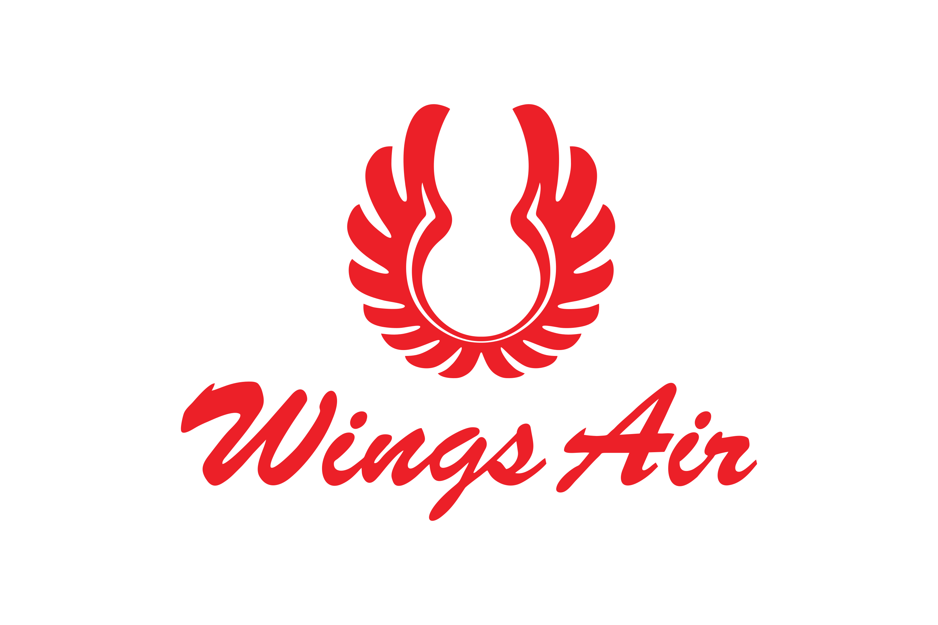 Wings Air Logo Transparent PNG