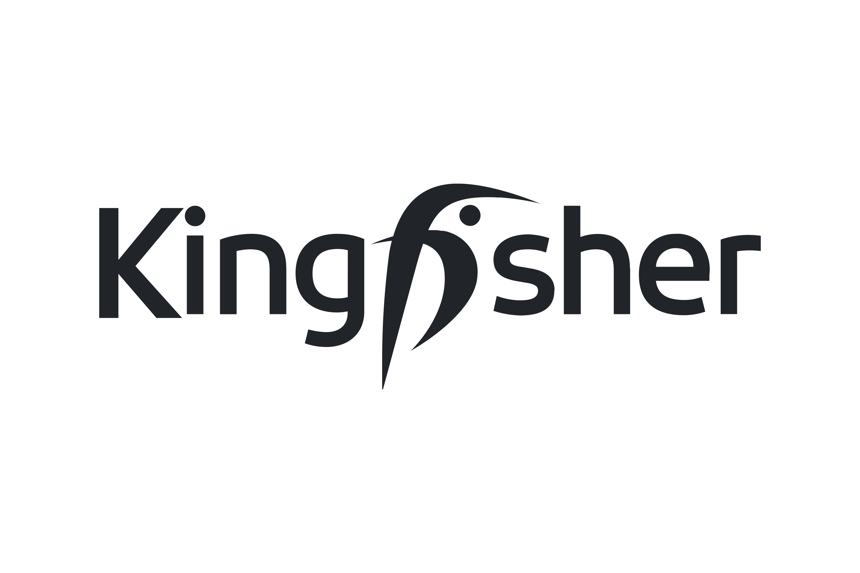 Kingfisher Company