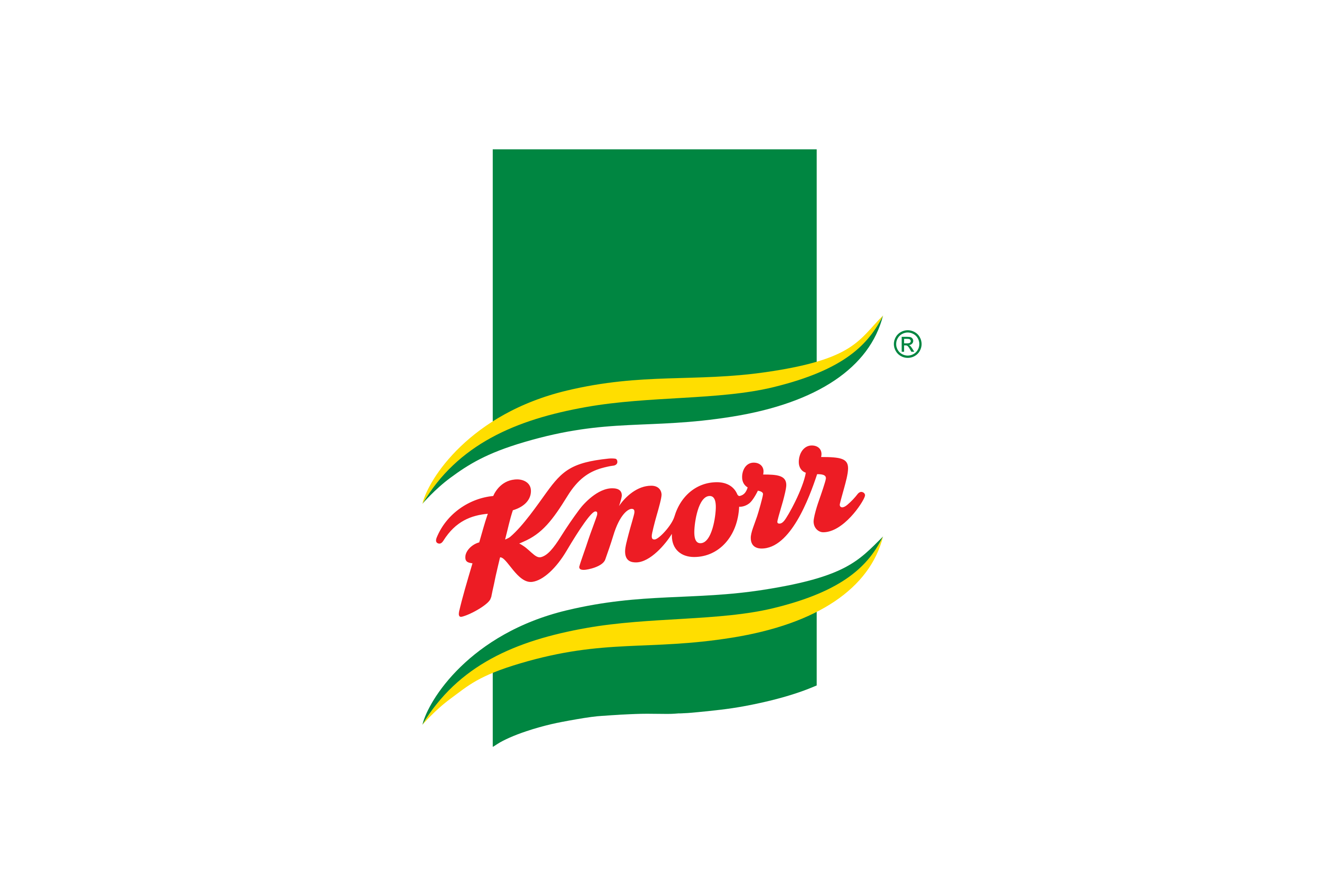 Knorr