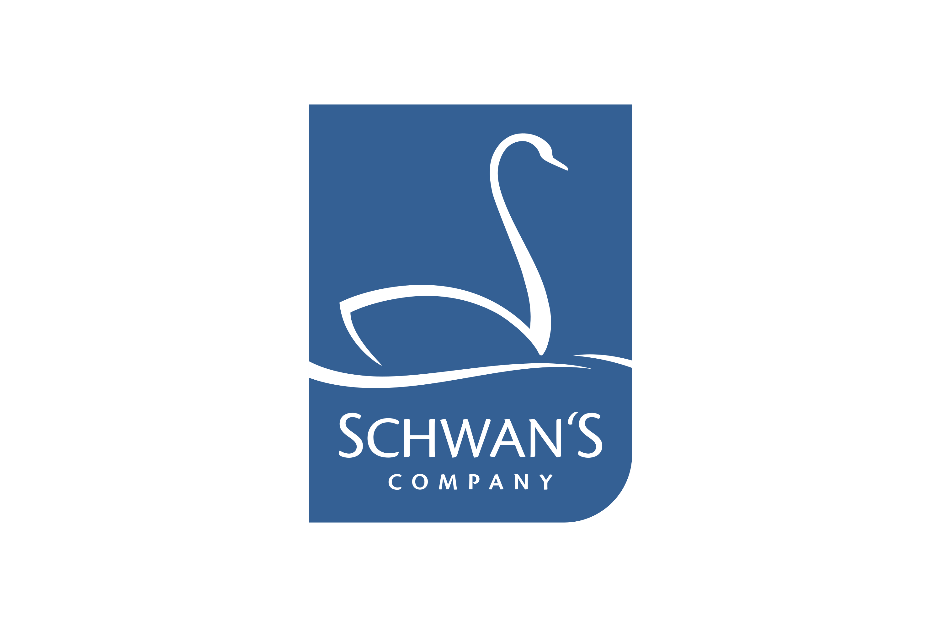 Schwan’s Company