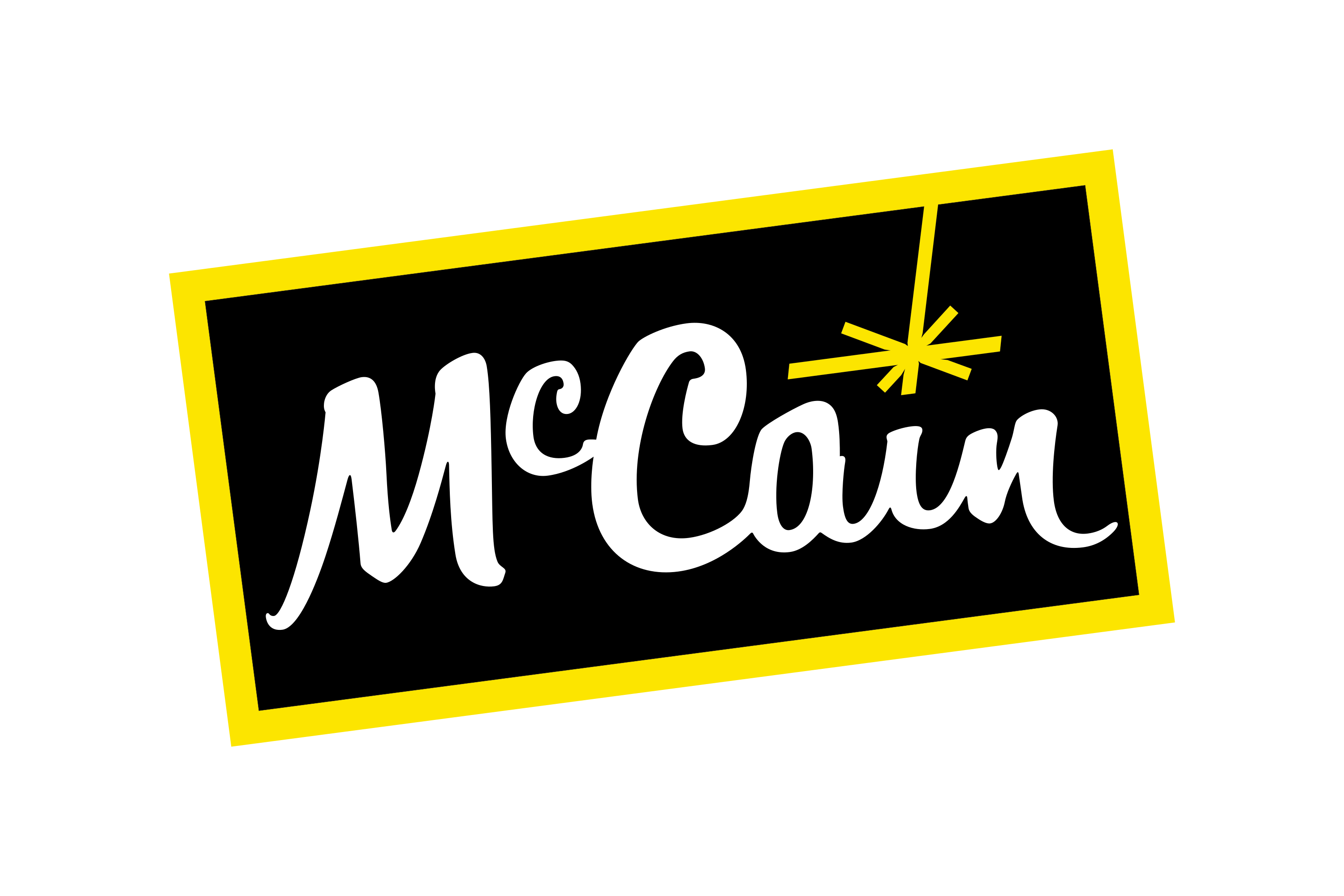 McCain Foods