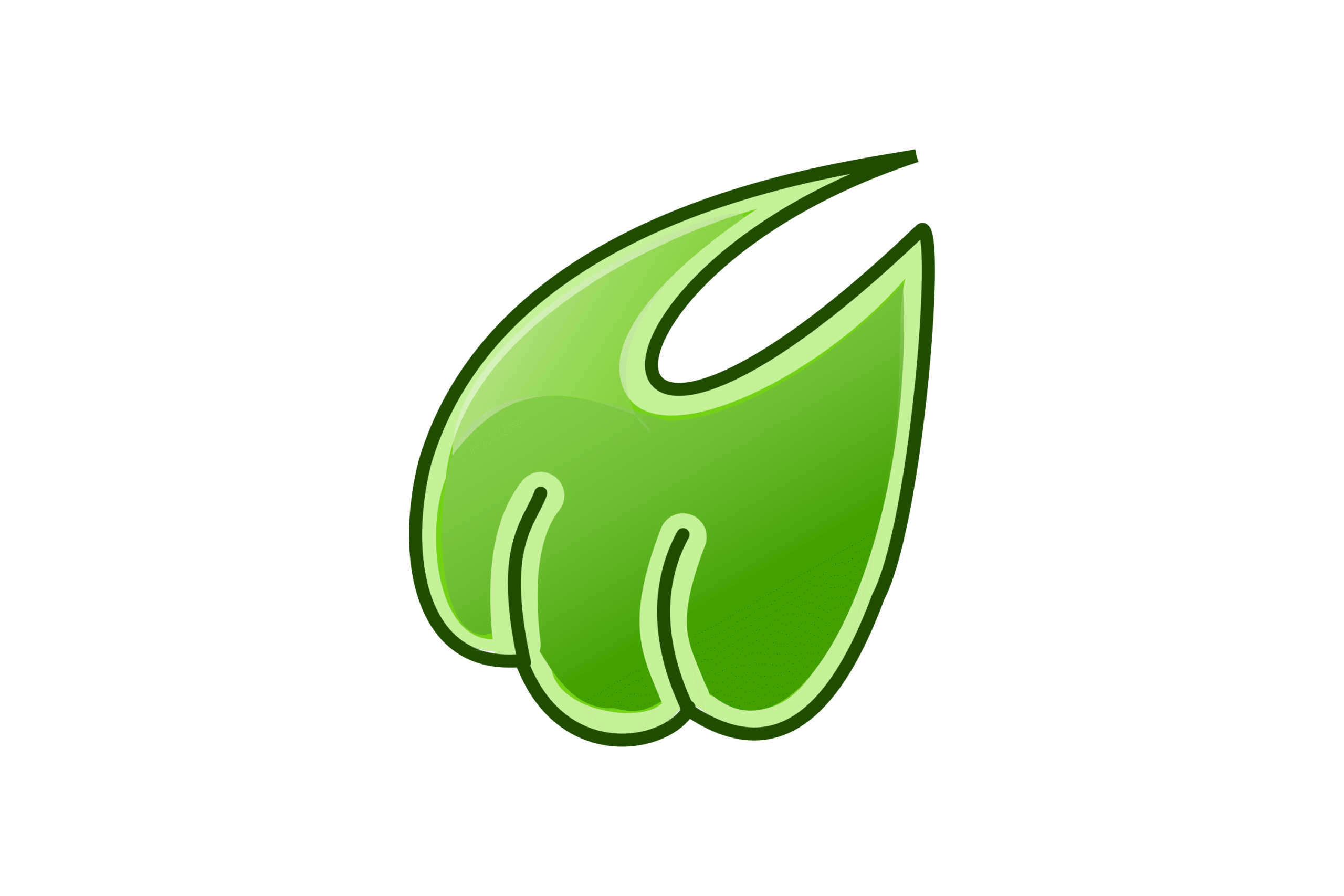 Midori