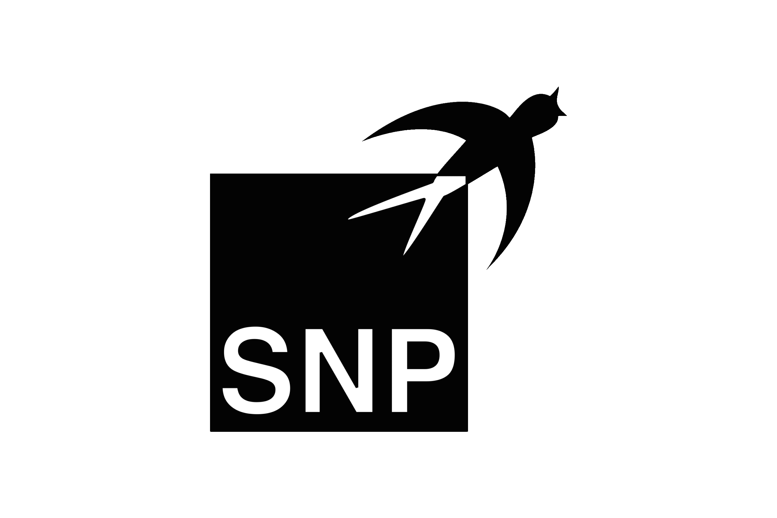 SNP Schneider Neureither & Partner SE