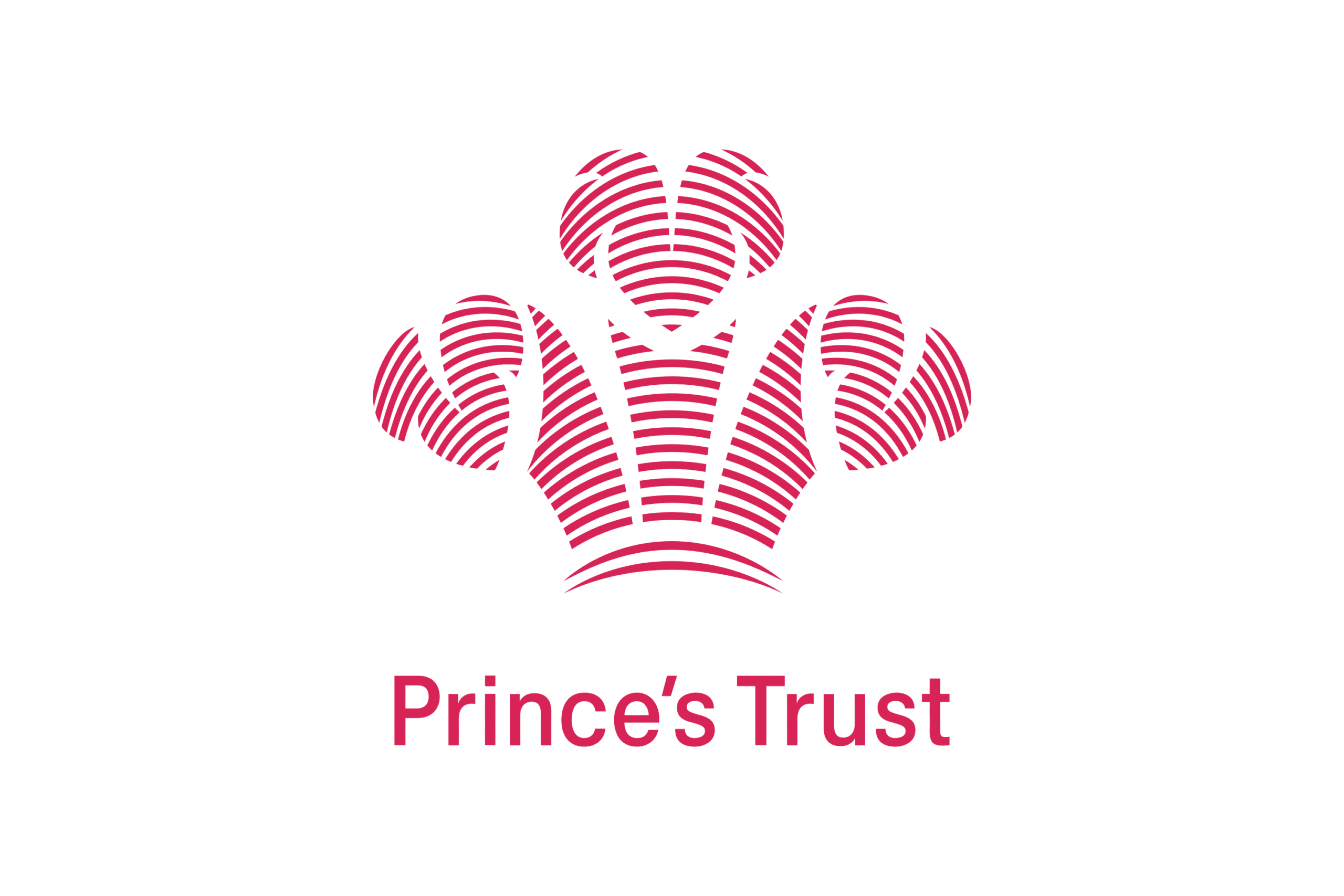 The Prince’s Trust