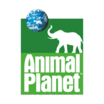 Animal Planet Logo Transparent PNG