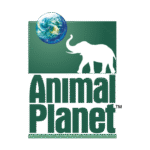 Animal Planet TV Logo Transparent PNG