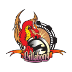 Billabong Dragão Logo Transparent PNG