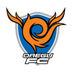 Daegu FC Logo Transparent PNG