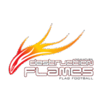 Destruction Flames Logo Transparent PNG