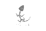 Fossil Logo Transparent PNG