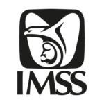 IMSS Logo Transparent PNG