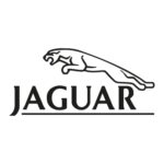 Jaguar Racing Logo Transparent PNG