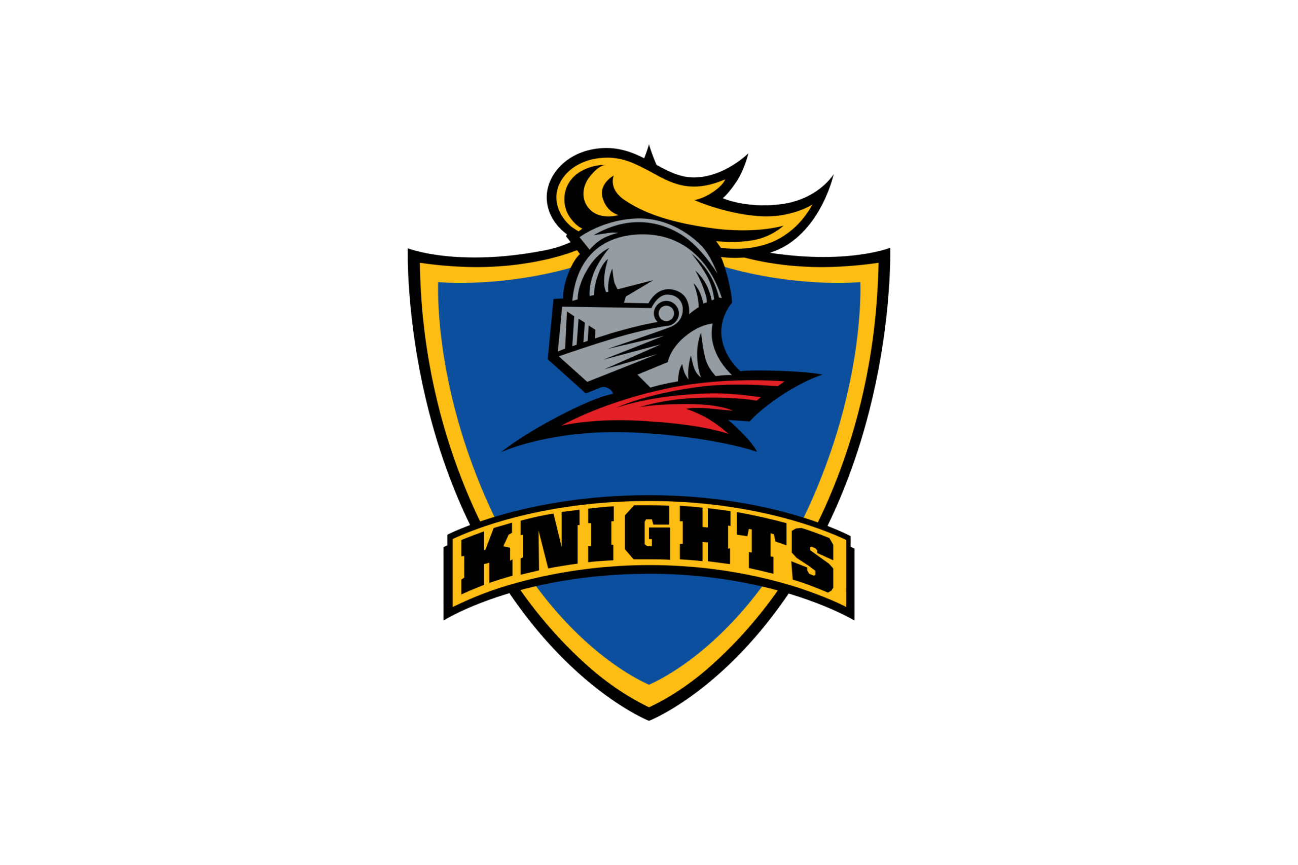 Knights Cricket Team