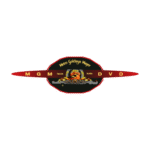 MGM dvd Logo Transparent PNG