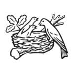 Nestle Food Company Logo Transparent PNG