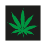 Pot Leaf Logo Transparent PNG