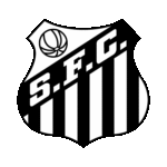 Santos Futebol Clube Logo Transparent PNG