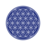 The flower of life Logo Transparent PNG