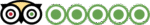 TripAdvisor with Ratings Bubbles Logo Transparent PNG