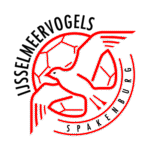 VV IJsselmeervogels Logo Transparent PNG