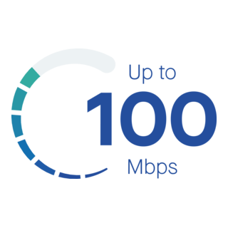 100 Mbps Speed Meter