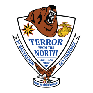 1st Battalion 24th Marine Regiment USMCR