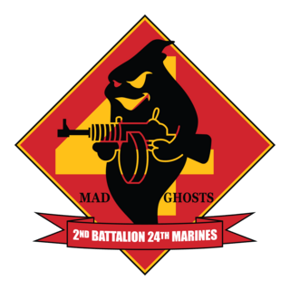 2nd Battalion 24th Marine Regiment USMCR