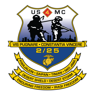 2nd Battalion 25th Marine Regiment USMCR