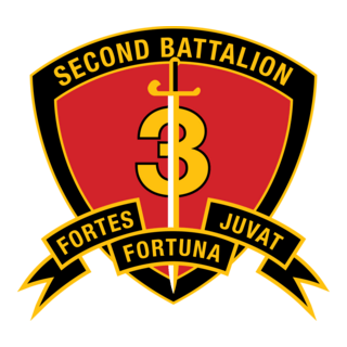 2nd Battalion 3rd Marine Regiment USMC