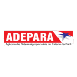 ADEPARÁ Logo Transparent PNG