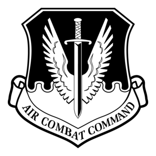 AIR COMBAT COMMAND EMBLEM
