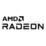 AMD Radeon 2020 Logo Transparent PNG