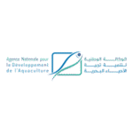 ANDA Logo Transparent PNG