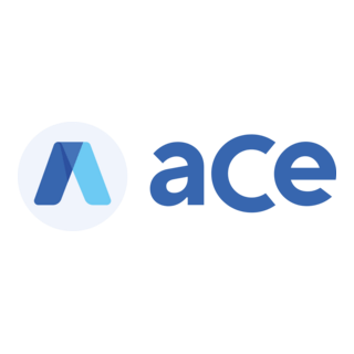 Accessibe Ace