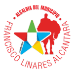 Alcaldía Del Municipio Francisco Linares Alcantara Logo Transparent PNG