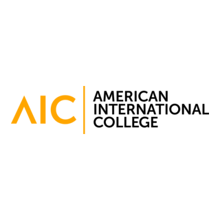 American International College